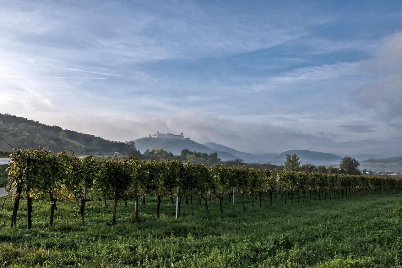 Ferienhaus Vagner Furth bei Gottweig Bagian luar foto